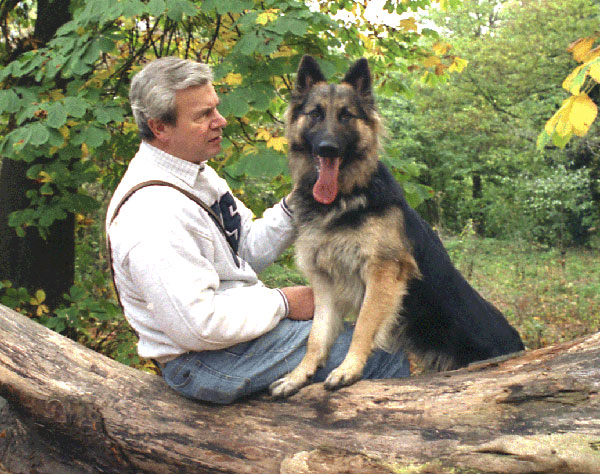rudi the gsd with his new dad