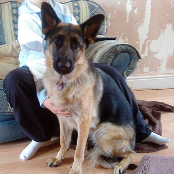 crystal gsd