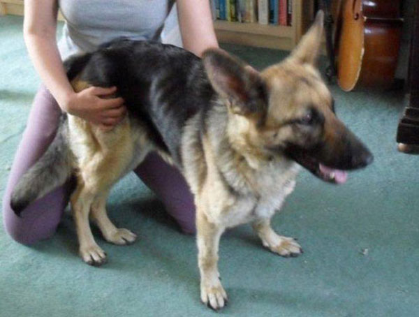 jess the cruelty case