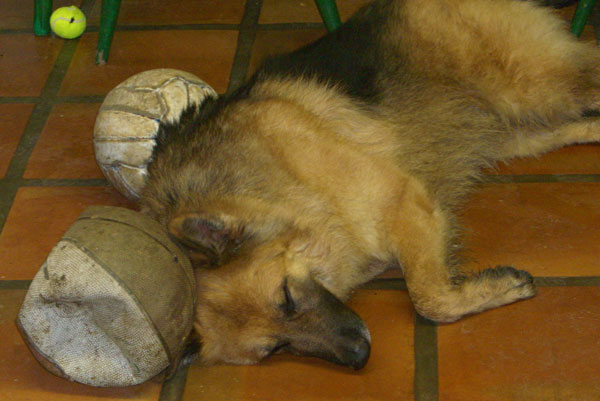 quill with his footballs