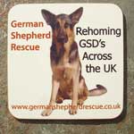 gsdr coaster