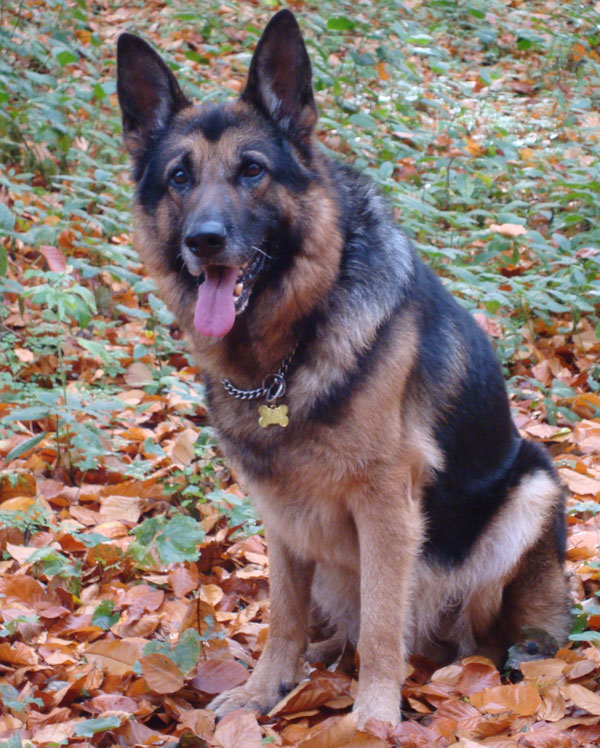 hurry up and take my photo