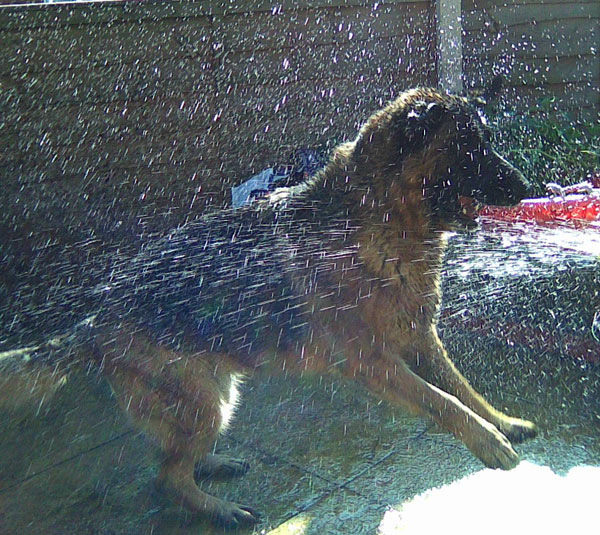 gsd with a hose