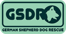 UK German Shepherd Dog Rescue Rehome GSDS