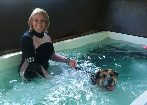 mack the gsd having hydrotherapy