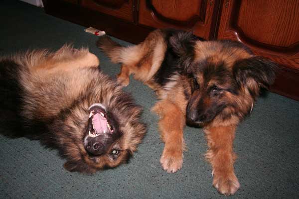 moss and fern enjoying play time