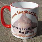 gsdr mug