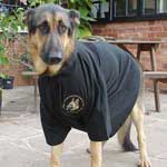 embroidered logo polo shirt