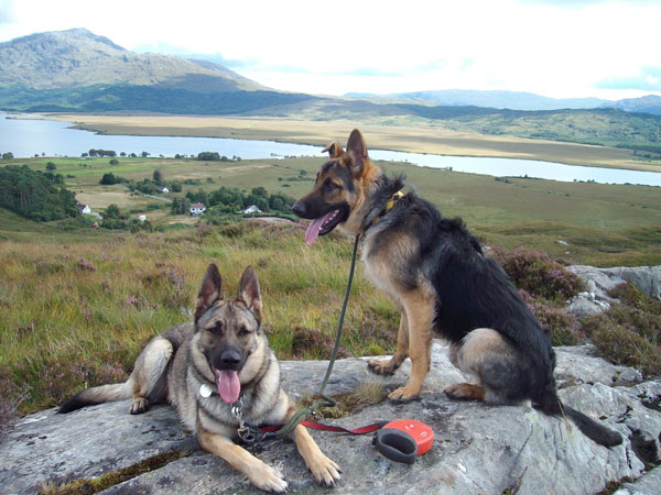 gsd's admiring the view