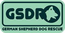 UK German Shepherd Dog Rescue Rehome GSDS UK German Shepherd Dog Rescue Rehome GSDS